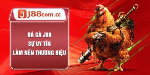 Đá Gà J88 - Sự Uy Tín Làm Nền Thương Hiệu