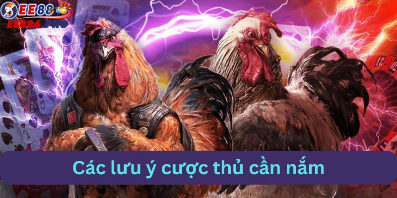 Những lưu ý về trận đấu